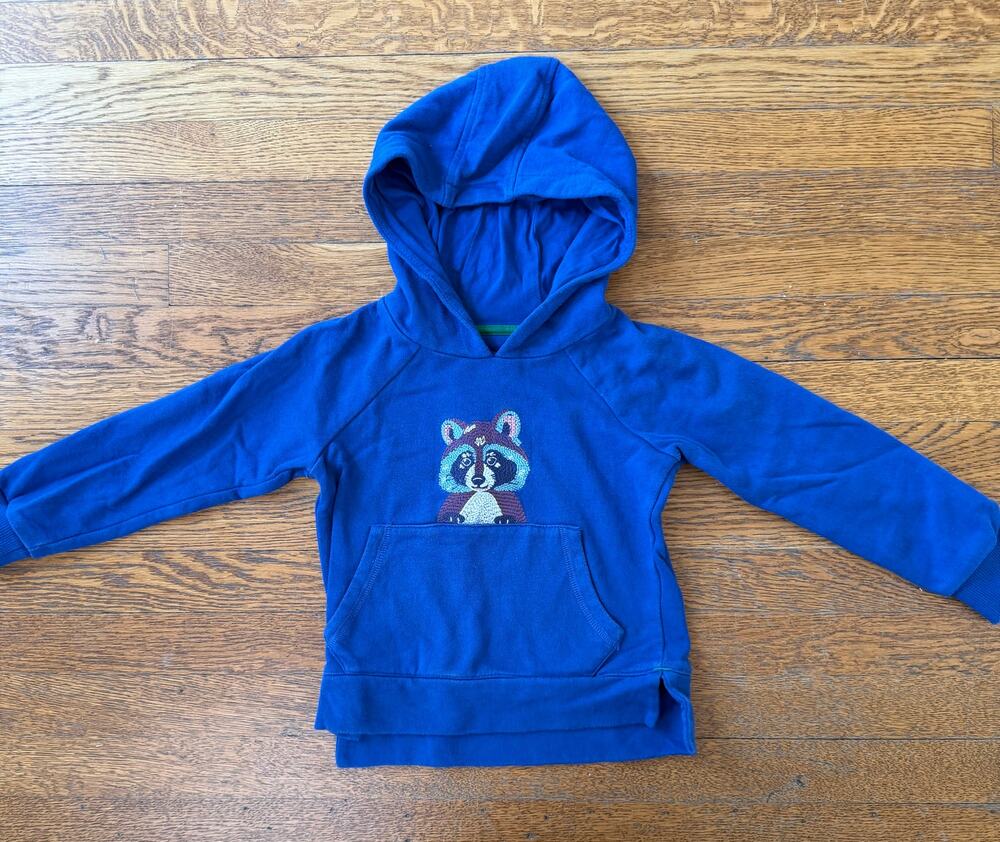 Mini Boden Boys' Raccoon Super Stitch Hoodie Size 3-4